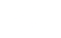 SSF Negocios Internacionales